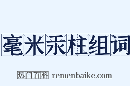 毫米汞柱组词是什么意思的图片